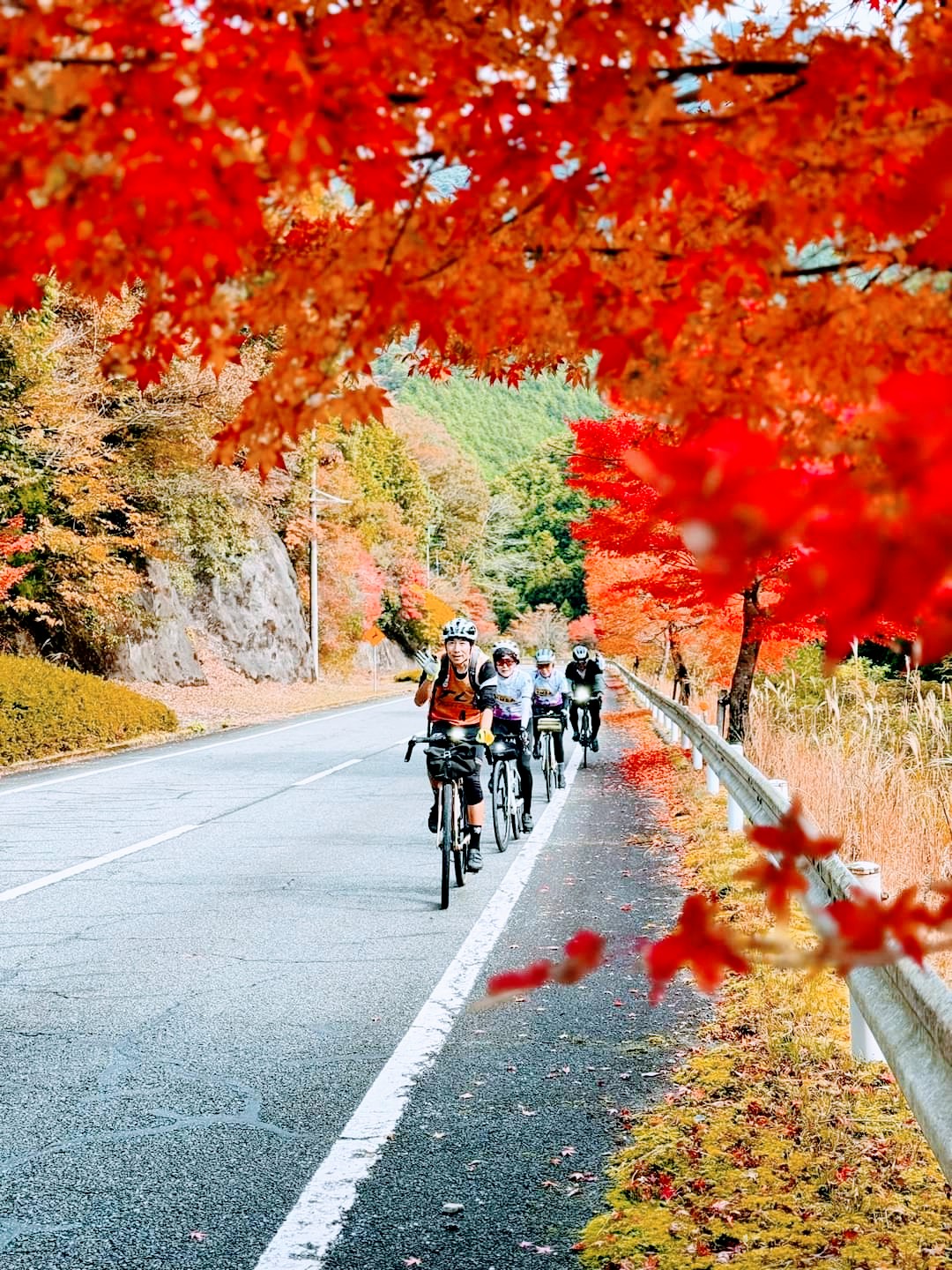 丹波サイクリング協会