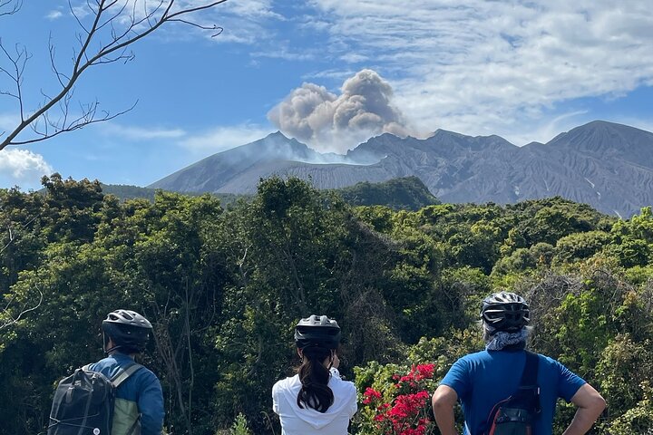 Volcano Life Journey