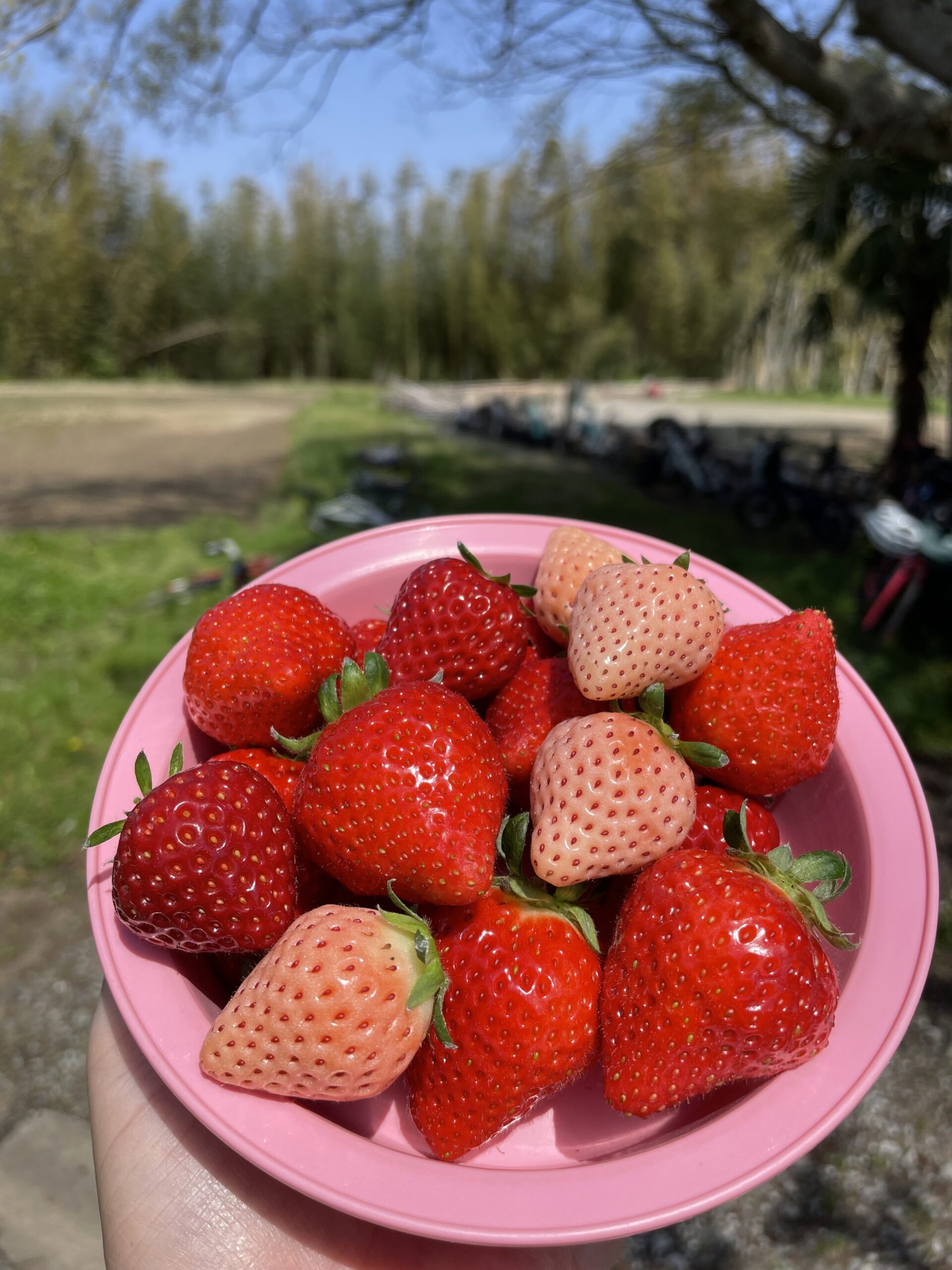 ＫＳインターナショナル／ClubPK